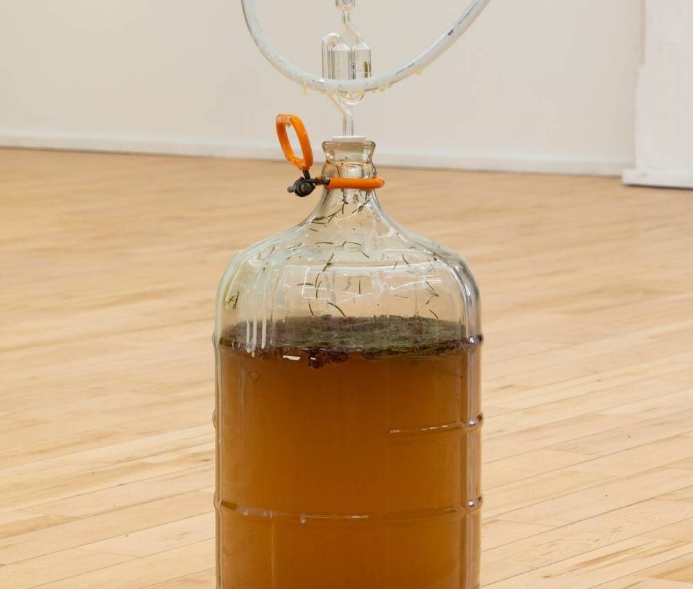 Metabolizing our way through: in conversation with artist Maria Simmons