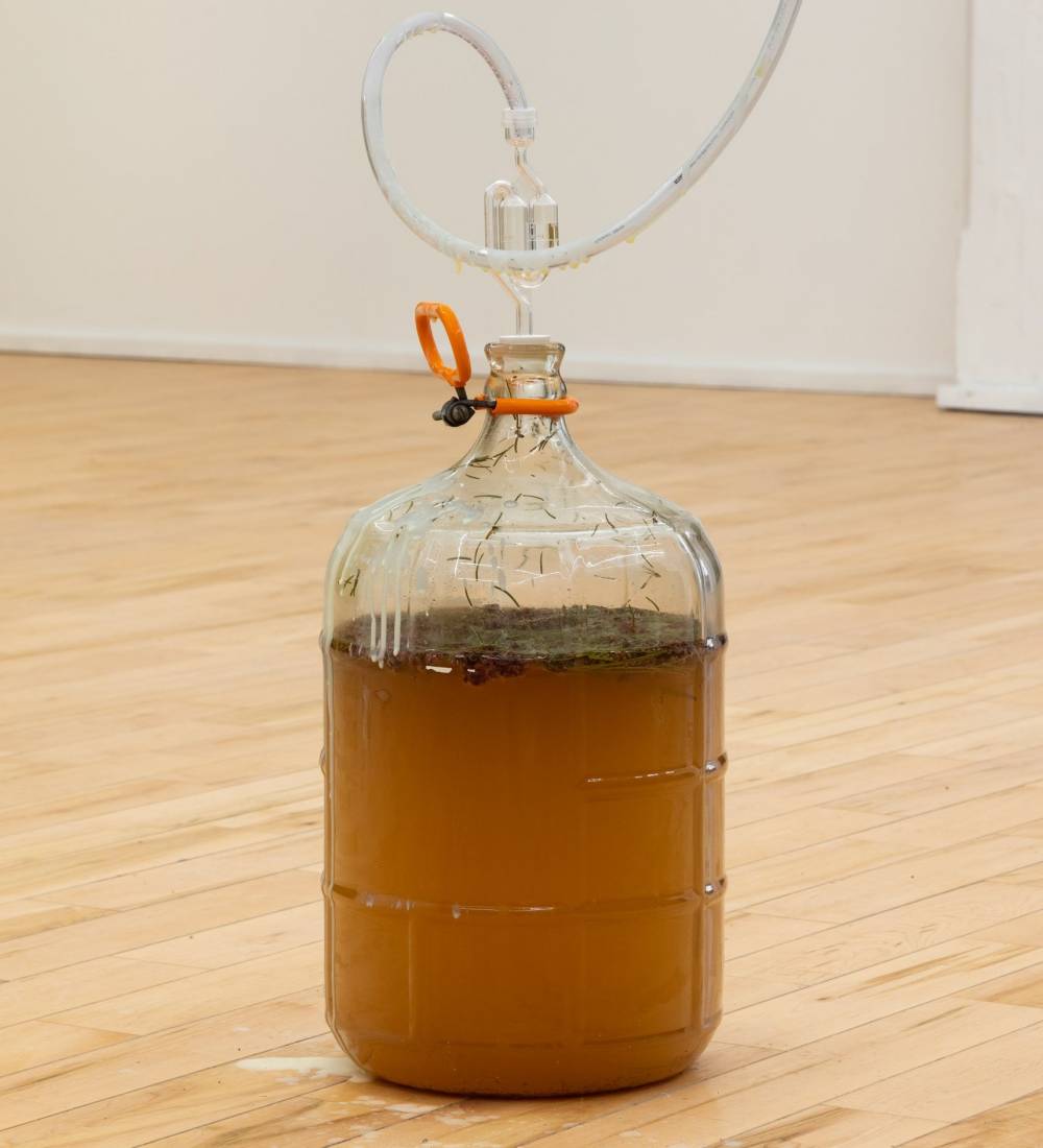 Metabolizing our way through: in conversation with artist Maria Simmons