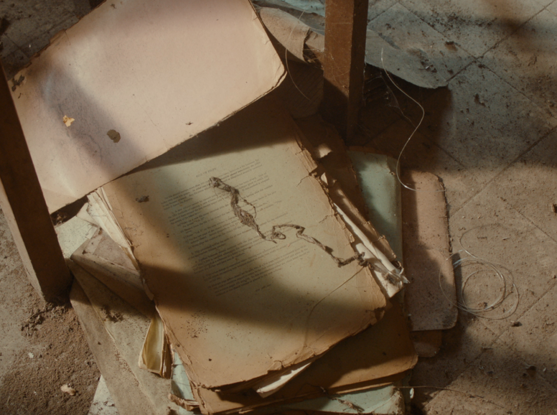 What is at stake in the media conservation of our current political and cultural landscapes?