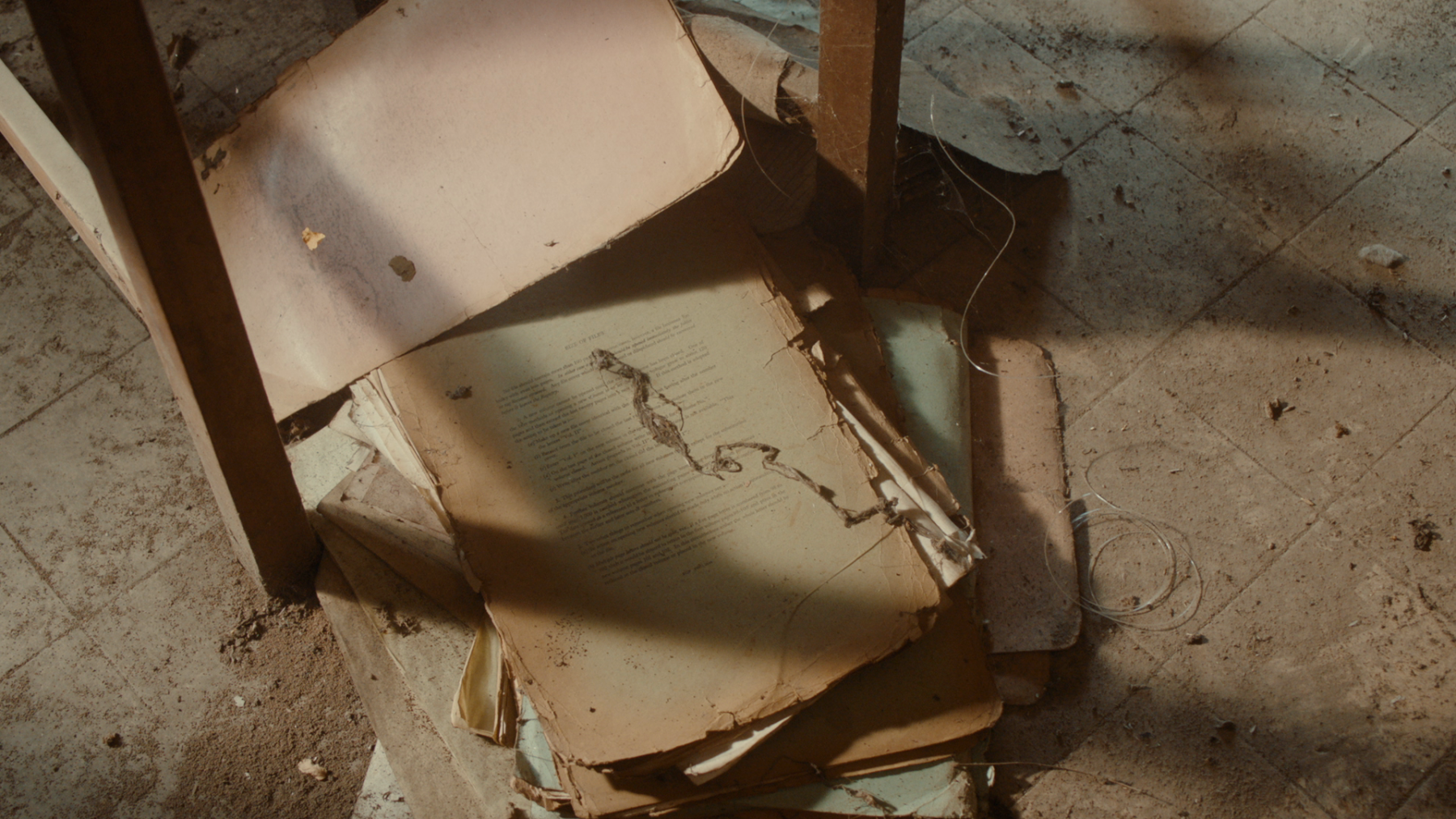 What is at stake in the media conservation of our current political and cultural landscapes?