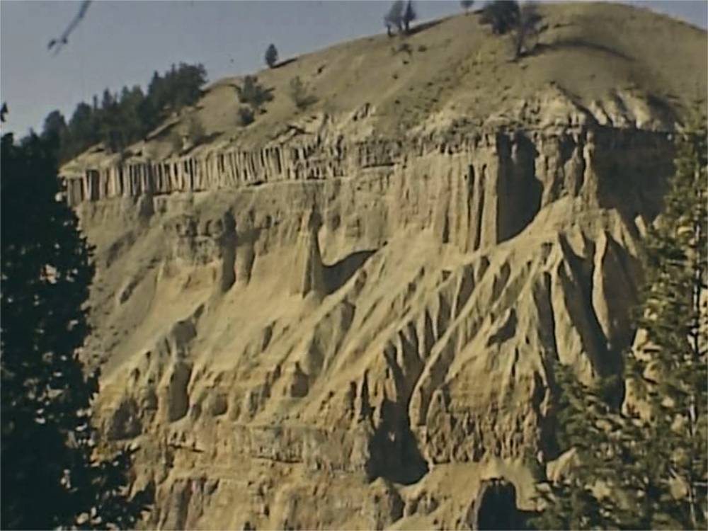 Spatial Being, Temporal Harvest: in conversation with filmmaker, Courtney Stephens