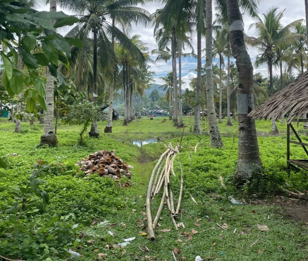 I HAVE DREAMS/ dream dictionary