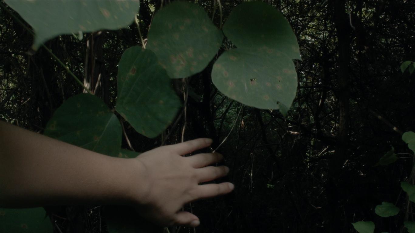 An Imaginary Grid: in conversation with Elizabeth M. Webb