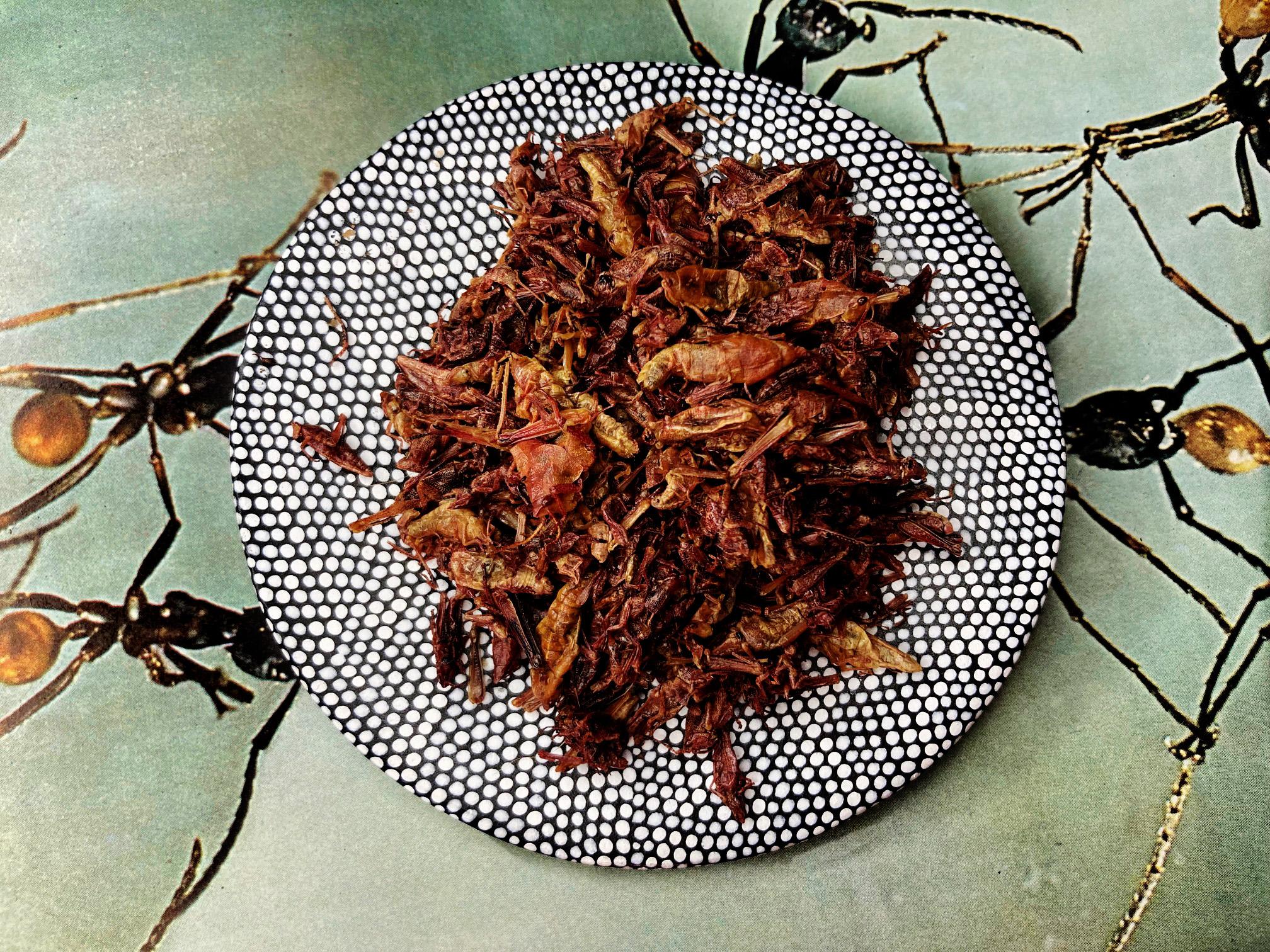 Ancestral and future foods: in conversation with Dupla Molcajete