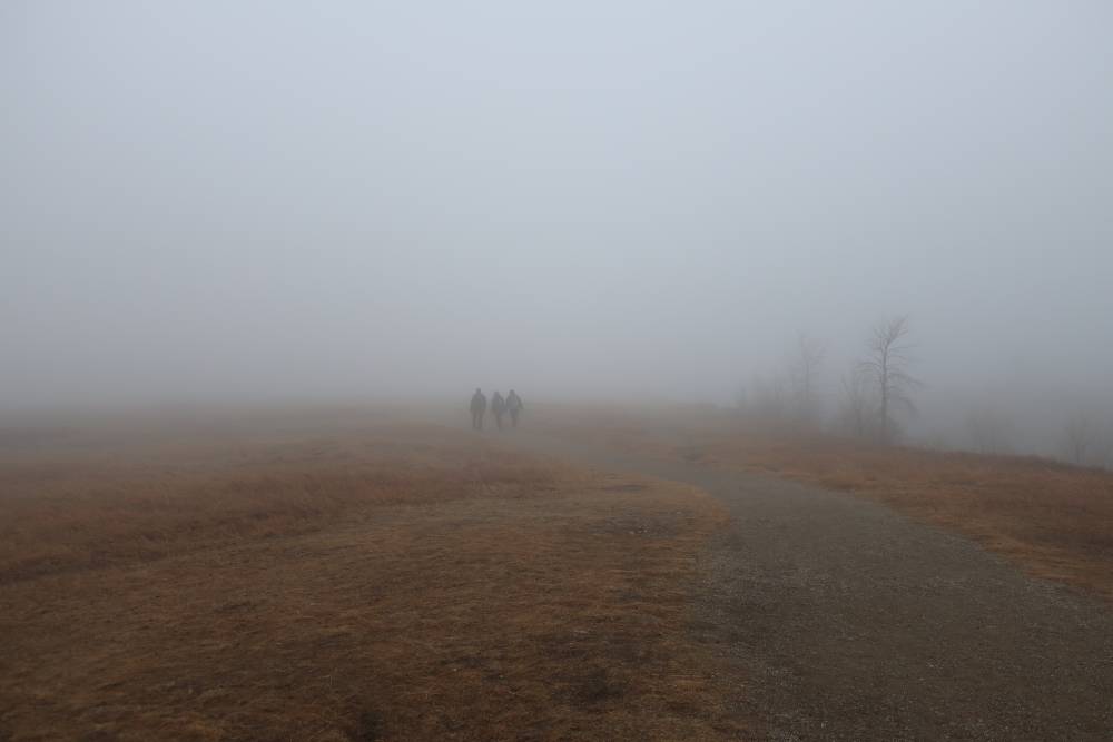 Naming home: in conversation with artist Lauren Crazybull