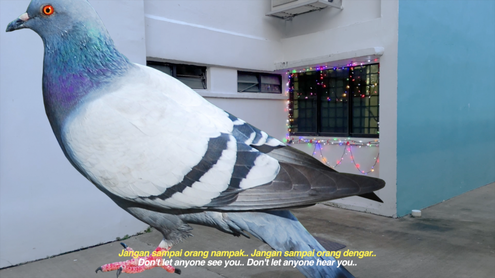 Shapeshifter(s): Pigeon People