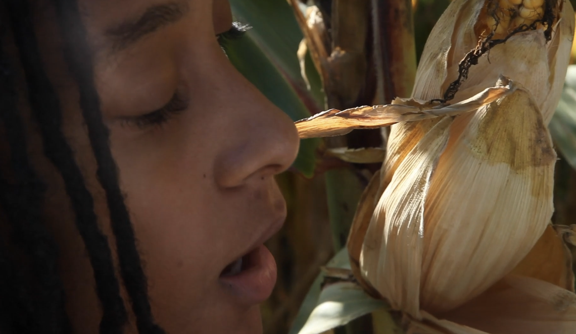 Strategies to enflesh the archive: in conversation with Emilio Rojas