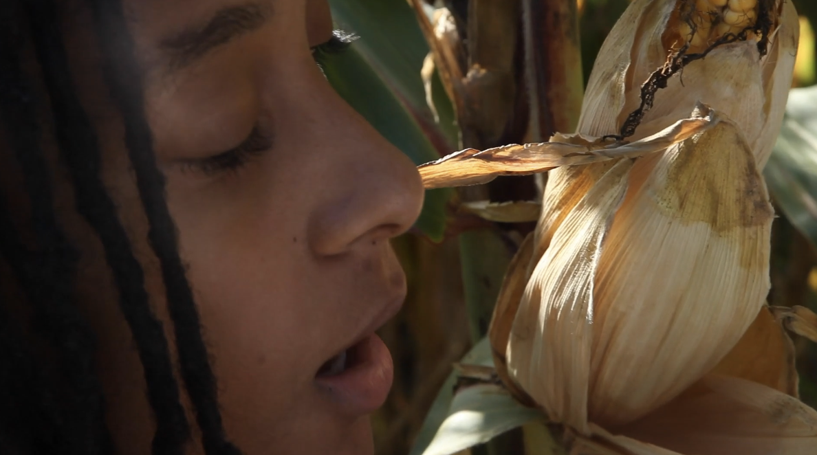 Strategies to enflesh the archive: in conversation with Emilio Rojas