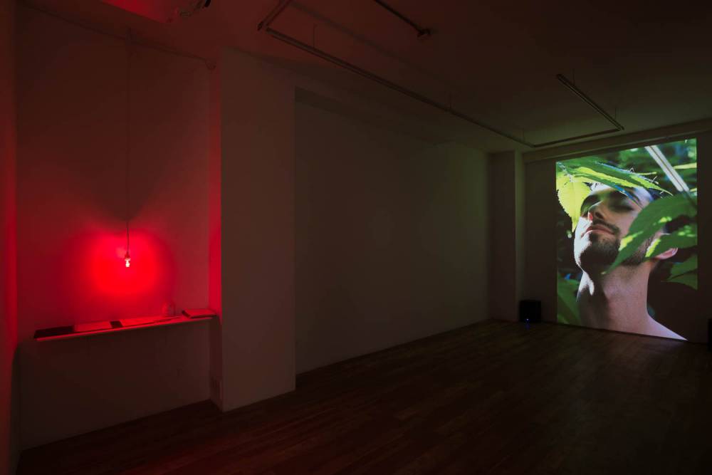 Easing into states of vulnerability: in conversation with Steven Beckly