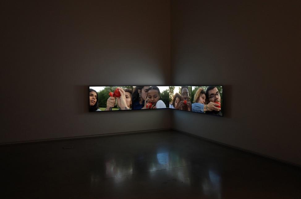 Erin Johnson’s Queer Ecosystems