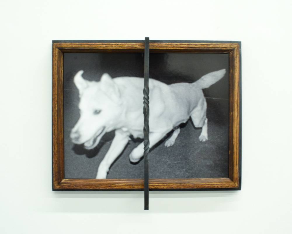 Private Images, Counter publics: in conversation with Marisa Kriangwiwat Holmes