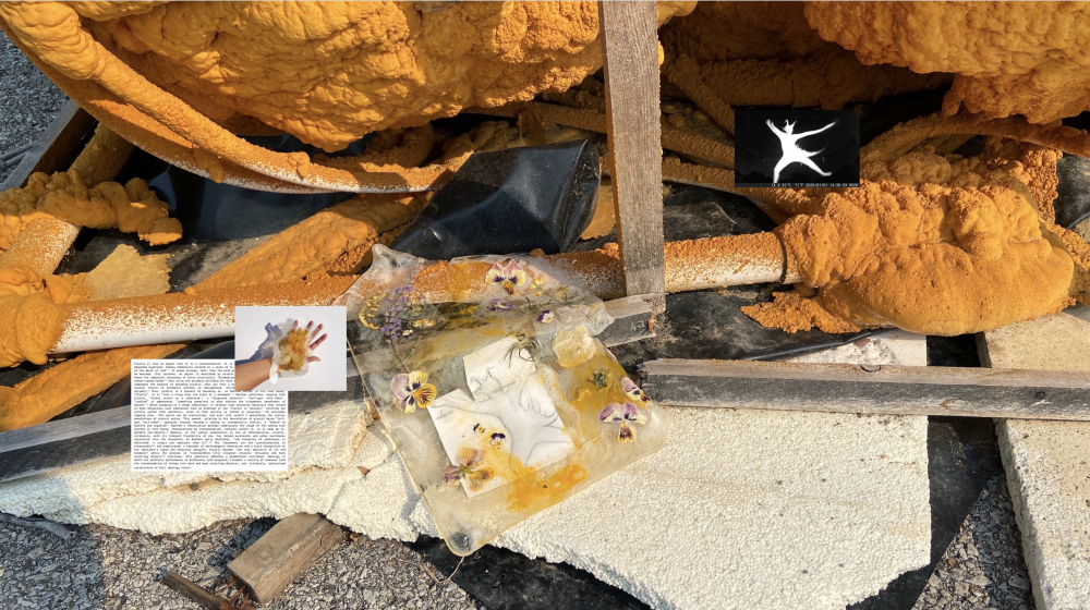 Aspic Sculpture IV: Material Poetics