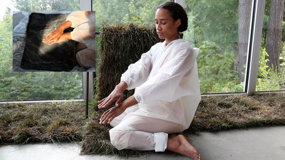Rhythms of life, grief, and renewal: in the garden with Eve Tagny