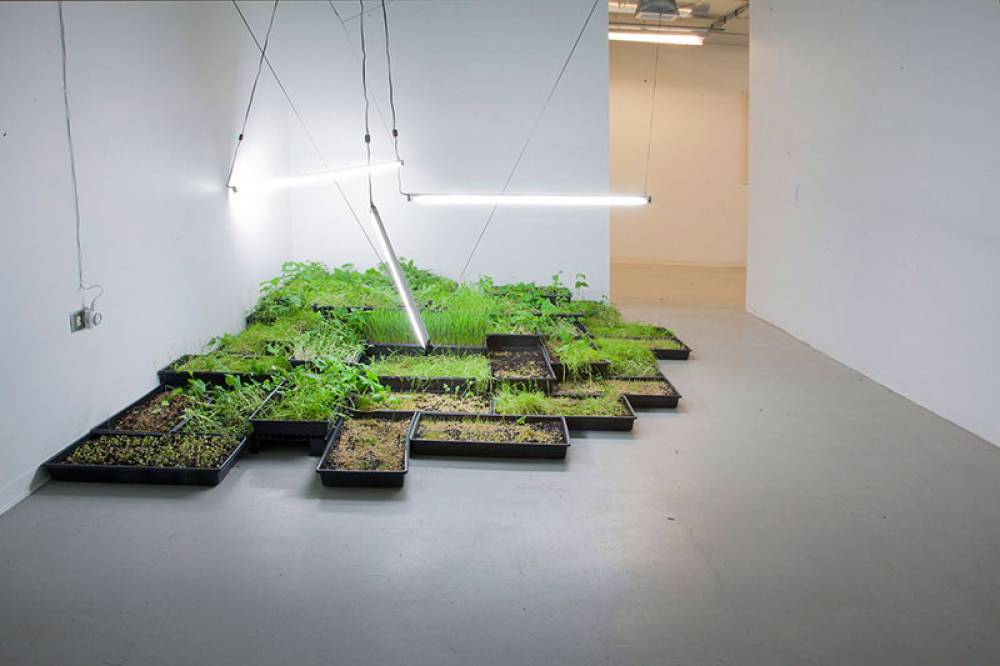 Activities of looking: in conversation Linda Tegg