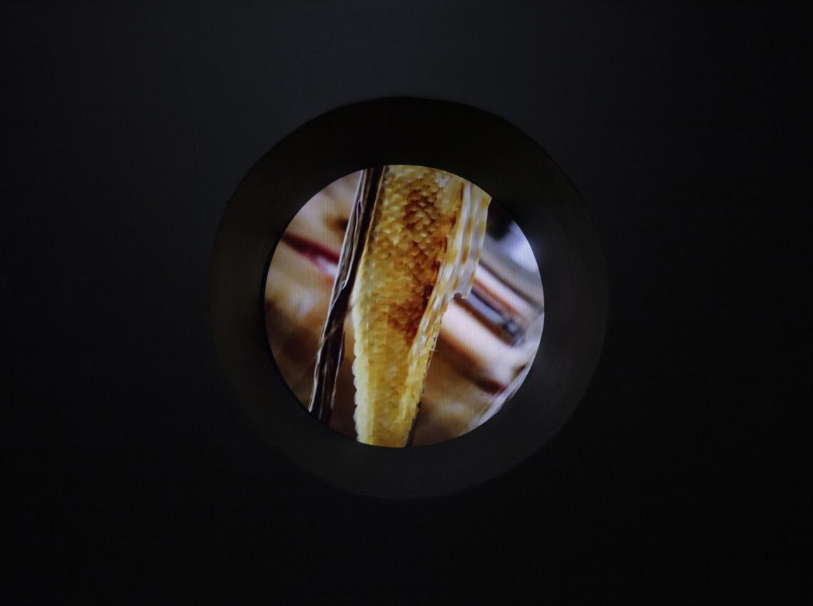 A Partial Reading: in conversation with multidisciplinary artist Nour Bishouty