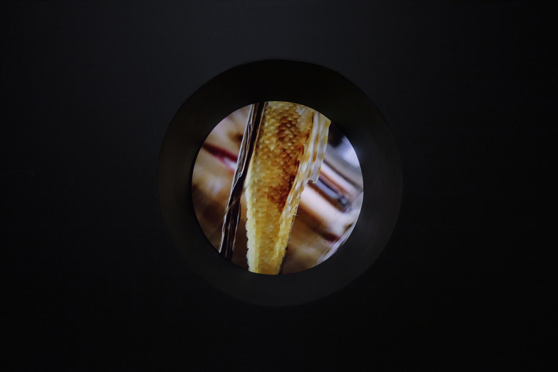 A Partial Reading: in conversation with multidisciplinary artist Nour Bishouty
